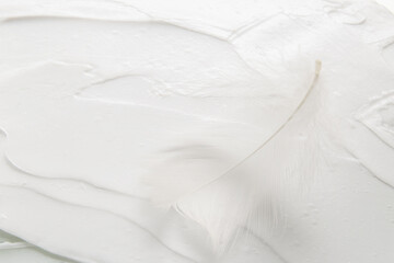 feather on white face cream background