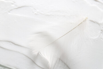 Obraz premium feather on white face cream background