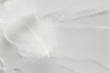 feather on white face cream background