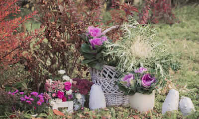 autumnal rural decorations in garden  with pumpkins, flowers and ornamental cabbage