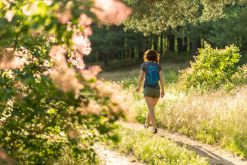 Obraz na płótnie Canvas Young woman walks along a forest path, rear view.