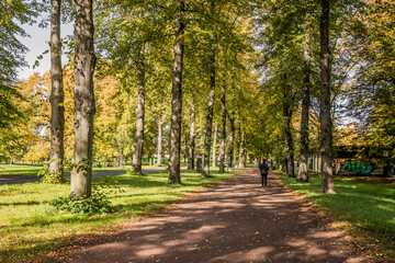 park rotehorn