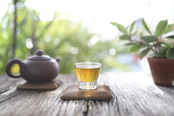 Tea glass cup and clay pot with hoya plant