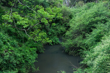 Plakat river in the forest in Gramado , Brazil