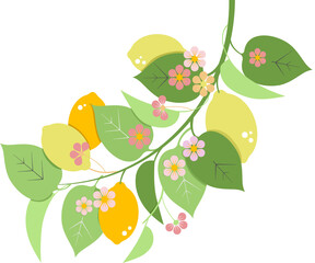 Flower and leave ,full color of nature, leave patterns, design vector