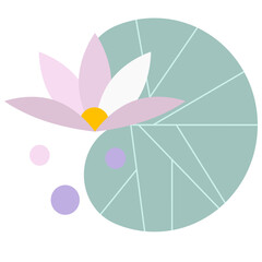 Flower and leave ,full color of nature, leave patterns, design vector