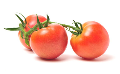 fresh tomato isolated on white background