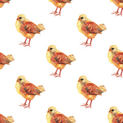 Seamless pattern with watercolor image of chicken.