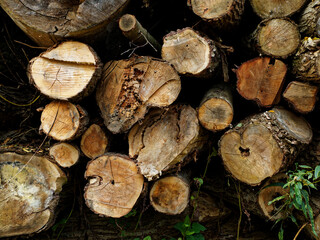 Recently felled trees piled up as cut logs  at Newmiller Dam in Wakefield, West Yorkshire.