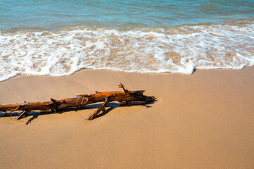 Relaxing driftwood on beach with waves