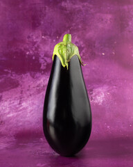 Aubergine Egg Plant whole standing up on a textured pink purple background