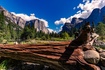 Yosemite valley, Yosemite national park