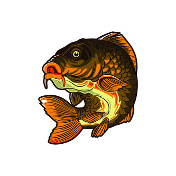 illustration of carp fish vector design