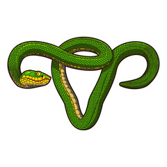 illustration of green snake vector design