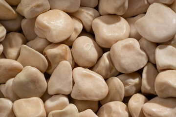 Detailed and large close up shot of peavines.