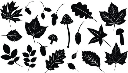 vector of the autumn leaves bundle