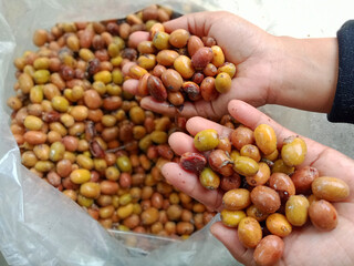 The coffee Beans in a hand