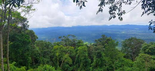 Good top-of-view mountain of rainforest big green tree at spring seasons.
