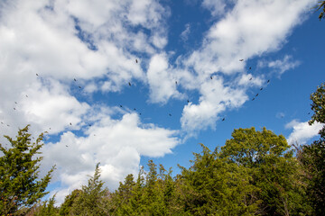 Point Pelee National Park