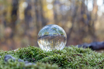 The concept of the environment. The crystal ball lies in the moss with an inverted view of the forest. Focus on the crystal ball lying on the moss. Close-up. Take care of nature
