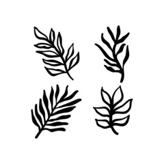 Little branches and floral doodles, hand drawn sketch drawings of plants, branches and leaves. Vector illustration.