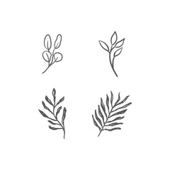 Hand drawn floral ornaments. Branches and leaves doodle collection. Decorative plants illustrations.