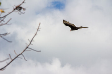 Point Pelee National Park