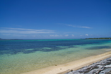 Fototapeta premium The beautiful beach in the summer.