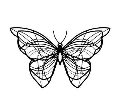 Abstract wave butterfly line icon, isolated on the white. Vector