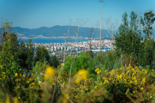 Vigo Bilder Durchsuchen 9,330 Archivfotos, und Videos