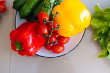 Close-up top view of raw fresh vegetables and lettuce on plate before making salad full of vitamins and antioxidants. High-angle view of sweet bell pepper, cucumber, tomato, lettuce.