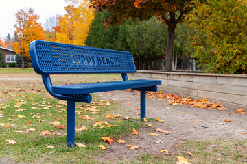 Blue buddy bench in park in autumn at school yard