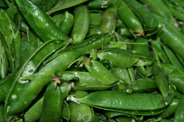 Heap of empty green pea pods