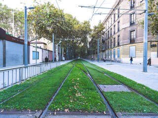 Fototapeta premium tram in the city