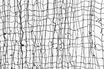 A Net of Cotton Fibre, Showing a Weaved Textile of Scrunched Threads and Curls with Loops of Close...