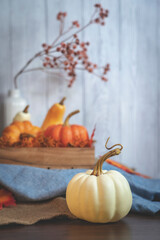 Autumn decor,  pumpkins,dry  berries and leaves on a white  background. Concept of Thanksgiving , Halloween.