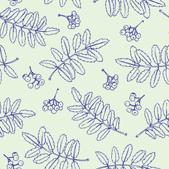 Blue outline rowan leaves and berries in mint background. Seamless vector pattern