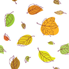 Colorful outline maple leaves in white background. Seamless vector pattern