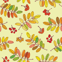 Colorful outline rowan leaves and berries in light yellow background. Seamless vector pattern