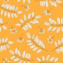 warm beige outline rowan leaves and berries in orange background. Seamless vector pattern