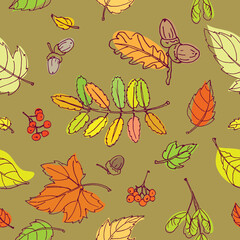 Colorful outline rowan, maple and oak leaves and berries in ochre background. Seamless vector pattern