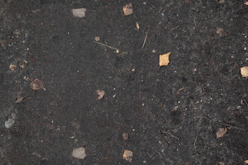 Dirt with fall leaves texture autumn