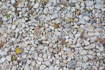 White rock texture small stones