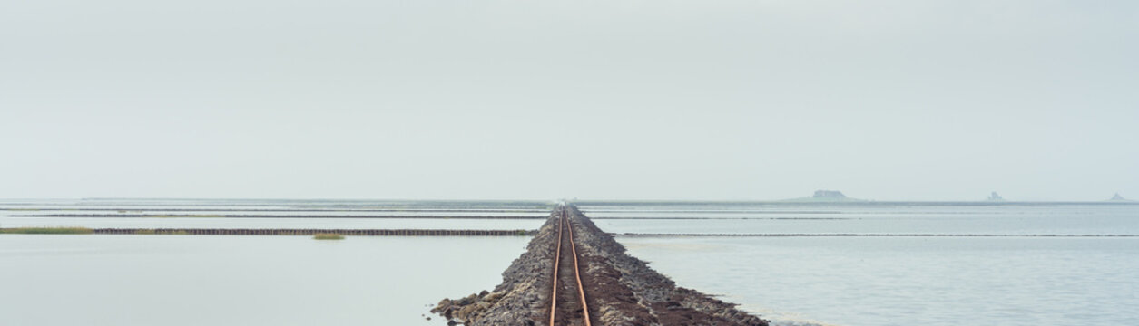 Tracks lead through the Wadden Sea to a Hallig 