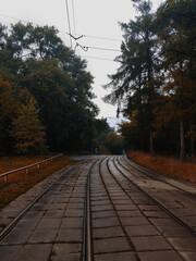 A beautiful autumn season, which depicts a forest, rails, houses, rivers, seas.