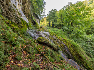 Fototapeta na wymiar Landscape in Papuk National Park, near Jankovac, Croatia
