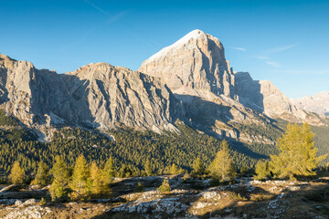 Alpine landscape, Mountains, fir trees and above all larches that change color assuming the typical yellow autumn color. Southern Tyrol. Amazing view from Passo Falzarego in Dolomites near Cortina.
