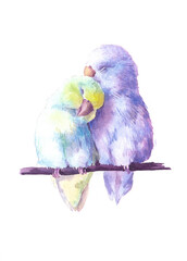 Watercolor drawing of lovebirds on a branch. Enamored cute gentle parrots. Beautiful watercolor birds on a white background.