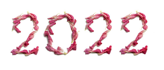 2022 from fresh flower petals. Concept New Years Christmas Numbers Isolated White Background