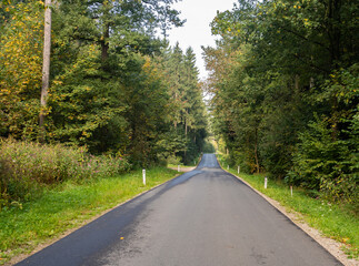 Obraz premium Landscape of beautiful small road in countryside.Empty asphalt road between trees and nature .Ecology , environment and green eco concept.